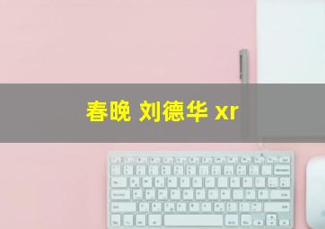 春晚 刘德华 xr